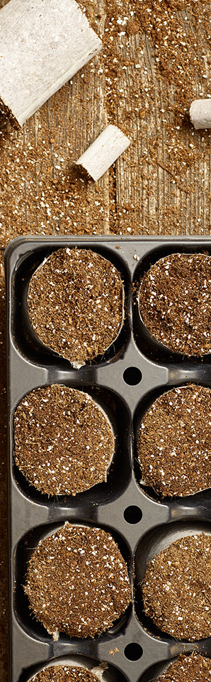 easypot 1